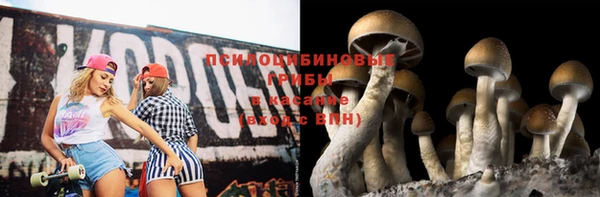 прущая мука Балахна